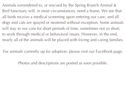 Animals surrendered to, or rescued by the Spring Branch Animal & Bird Sanctuary will, in most circumstances, need a home. We see that all birds receive a medical screening upon entering our care, and all dogs and cats are spayed or neutered without exception. Some animals will stay in our care for short periods of time, sometimes not so short, to work through medical or behavioral issues. However, in the end, nearly all of the animals will be placed with loving and caring families. 

For animals currently up for adoption, please visit our FaceBook page. 

Photos and descriptions are posted as soon possible.